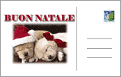 Cartoline Auguri